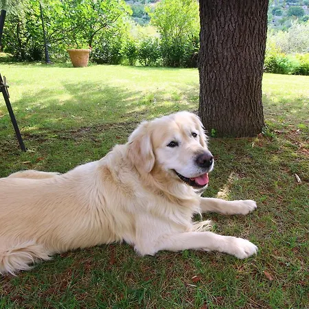 Holiday La Casina Cortona
